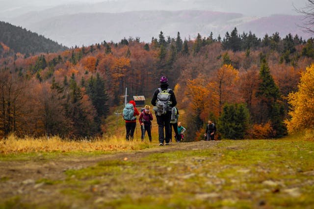 Pessoas caminhando em uma montanha ilustrando o conteúdo sobre viagem em grupo